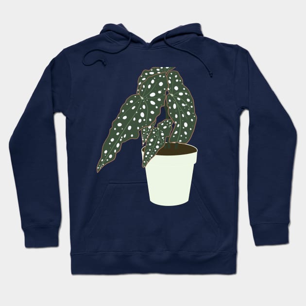 Begonia Maculata Plant – Mint Pot Hoodie by Raquel’s Room